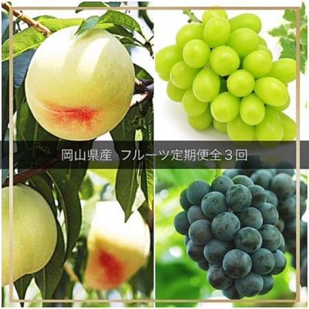 [発送月固定定期便]岡山県産 フルーツ定期便全3回[配送不可地域:離島・北海道・沖縄県]