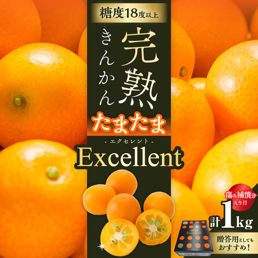 糖度18度以上!! 完熟きんかん たまたま エクセレント 計1kg 傷み補償分入り_D134-26