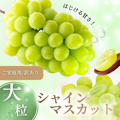 訳あり シャインマスカット 岡山県産ぶどう 訳ありシャインマスカット約1kg[nisfarm019-01]