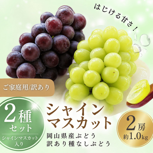 [訳あり] シャインマスカット 岡山県産ぶどう 訳あり種なしぶどう2種セット2房約1kg シャインマスカット入り [nisfarm020-01]