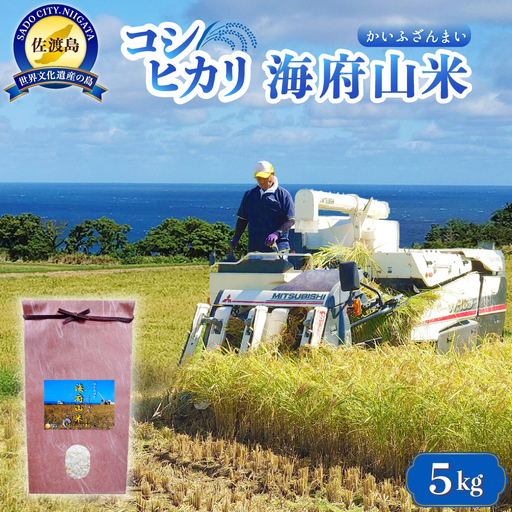 コシヒカリ精米 5kg 海府山| 新潟県 佐渡市 コシヒカリ