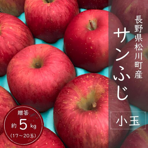 サンふじ 贈答小玉 約5kg(17〜20玉) 長野県松川町産/11月下旬頃〜配送予定//先行予約 長野県 南信州 リンゴ 林檎 ギフト ふじ さんふじ 小玉サイズ 農家直送 農家支援 産地直送