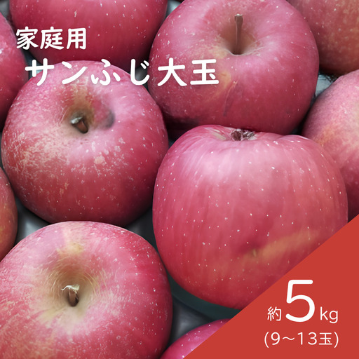 サンふじ 家庭用 大玉 約5kg(9〜13玉) 長野県松川町産/11月下旬頃〜配送予定//長野県 南信州 リンゴ 林檎 ふじ さんふじ 訳あり 自家用 農家直送 農家支援 産地直送