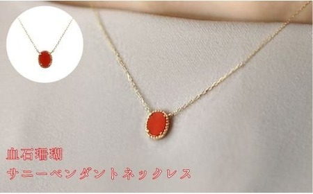 【 サンゴ ネックレス 】　珊瑚 サニーペンダント ネックレス