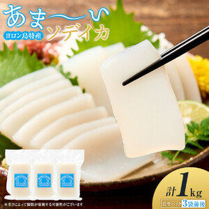 ヨロン島特産☆あま〜いソデイカ 1kgセット | イカ