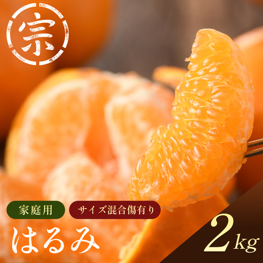 [先行予約]宗方印 はるみ(家庭用)約2kg