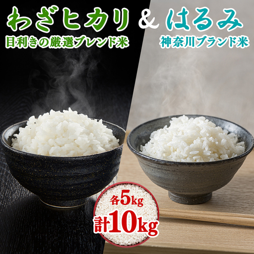 《10月下旬より順次発送》令和8年産 目利きの厳選ブレンド米とはるみの食べ比べセット 各5kg (合計10kg) 五つ星お米マイスター親子プロデュース！ [1283]