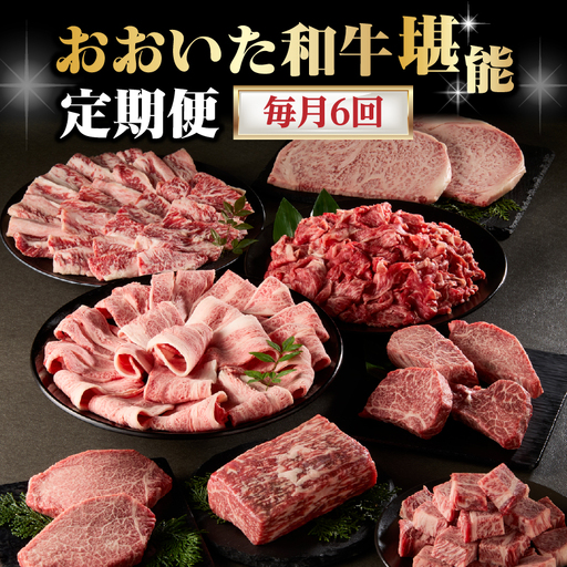 【毎月配送】【おおいた和牛堪能】毎月6回お届け定期便 T10099