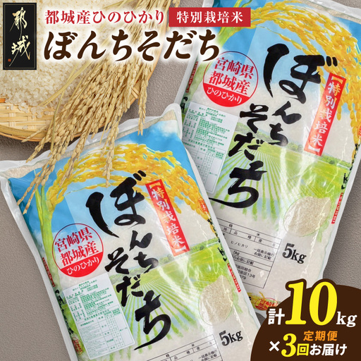 ≪3回お届け!≫都城産ひのひかり特別栽培米「ぼんちそだち」10kg定期便〔T63-3-N5-001-10kg〕_(都城市) 都城産 お米 10kg ひのひかり ぼんちそだち 5kg×2袋 3ヶ月定期便