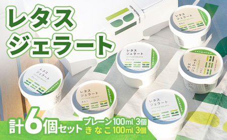 ジェラート レタス 6個 ジェラート