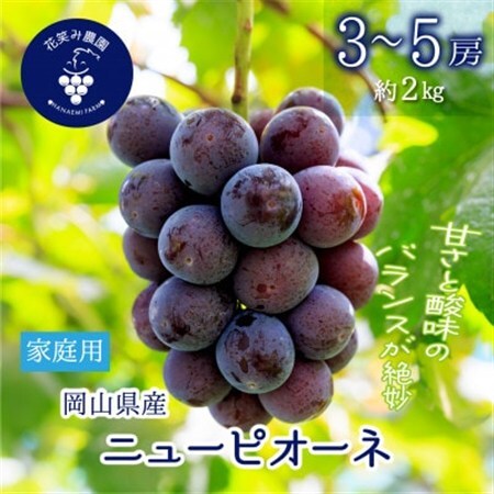 岡山　花笑み農園の『ニューピオーネ』家庭用　約2kg(3～5房)　P-2家【配送不可地域：離島】【1692569】