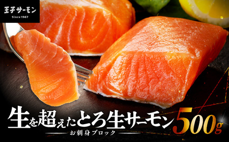 生を超えた「 とろ生サーモン 」 お刺身用ブロック 500g T041-009-02 魚 魚介類