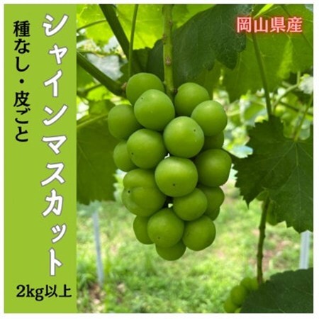 【2026年先行受付】岡山のぶどう(シャインマスカット)2kg(3～5房)【配送不可地域：離島】【1696617】