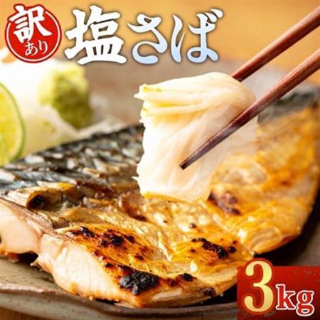 【訳あり】ノルウェー産　塩さば　フィレ　約3kg【配送不可地域：離島】【1700382】
