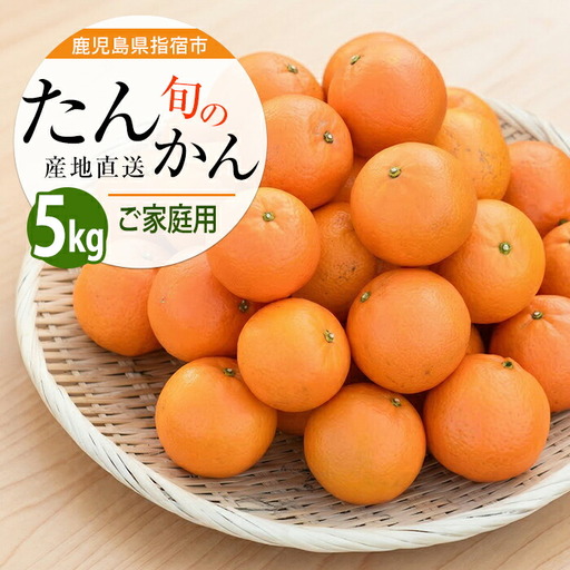 2027年発送 たんかん 約5kg みかん フルーツ IB064-001
