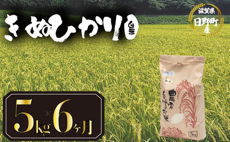 【先行予約】令和8年産 きぬひかり 5kg 定期便 6ヶ月 白米 米 