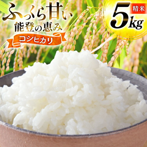 米 令和7年産 コシヒカリ 精米 5kg