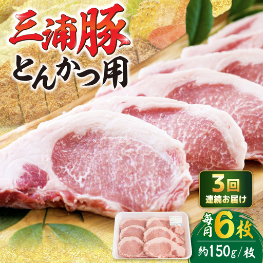 [3回定期便] 三浦豚 豚肉 ロース900g(ステーキ / 恵那市 / あづま精肉店 [AUDL009]