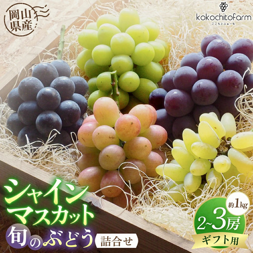 [2026年先行予約] ここちとふぁーむ [ギフト] 岡山県産 シャインマスカット&旬のおまかせぶどう 2〜3房 約1kg [koko015-01]