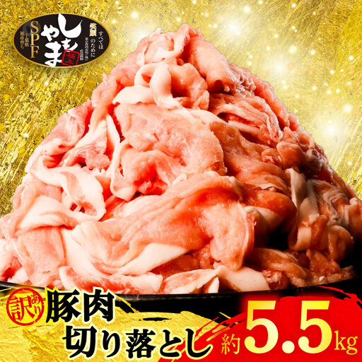 訳あり 豚肉切り落とし 5.5kg [SPF] 豚肉切り落とし