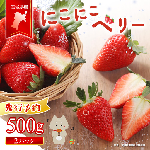 [先行受付]宮城県産いちご「にこにこベリー」約500g(250g×2)[58001]