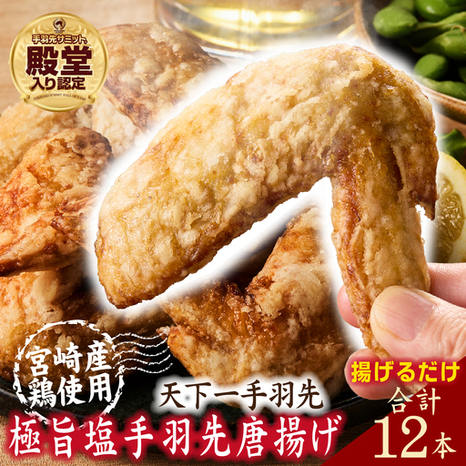 [手羽先サミット殿堂入り!]極旨塩 手羽先 唐揚げ 12本(国産 鶏肉 手羽 手羽先 唐揚げ 塩 味付き 限定 冷凍)