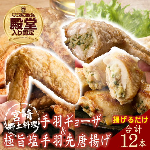 【手羽先サミット殿堂入り！】極旨塩 手羽先 唐揚げ 手羽ギョーザ セット 計12本（国産 鶏肉 手羽先 ギョウザ 餃子 塩 味付き 人気）