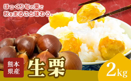 栗 生栗 2kg とくちゃん農園 菊池市産
