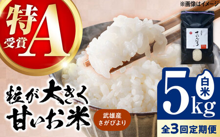 【3回定期便】さがびより 白米 5kg /株式会社 y's company（utsu和ya）[UDX025] さがびより 定期