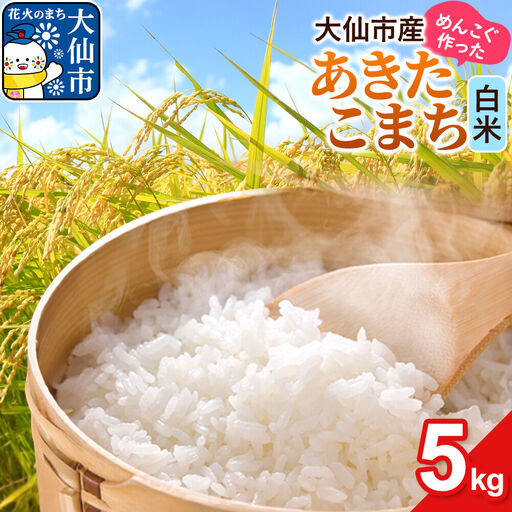 米 あきたこまち 白米 5kg 秋田県 大仙市 伊藤精米店