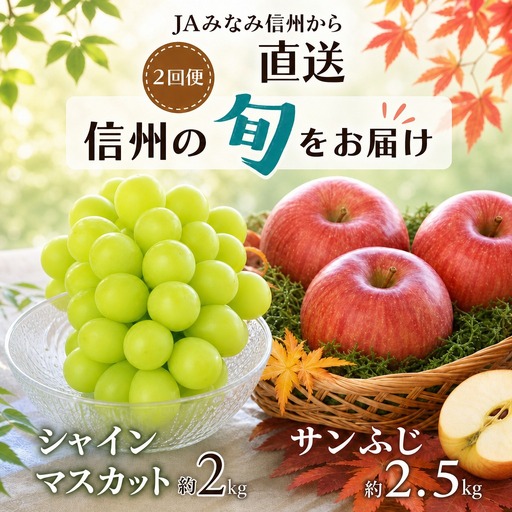 【2026年発送先行予約】【定期便】南信州産　人気果実の返礼品セット　＜シャインマスカット＞＜サンふじ＞　2回発送