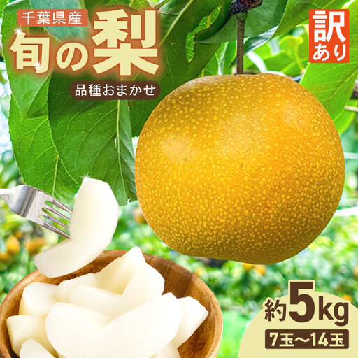 2026年予約 訳あり梨 品種おまかせ梨 約5kg