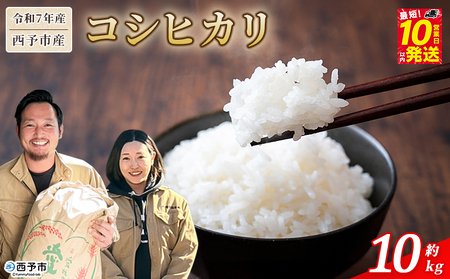 ＜令和7年産 西予市産 コシヒカリ 約10kg＞ お米 米 コメ こめ 白米 精米 ご飯 穀物 こしひかり 10キロ 特産品 愛媛県産 株式会社宇都宮米穀 愛媛県 西予市【常温】『最短10営業日以内に順次出荷予定』NKU0002