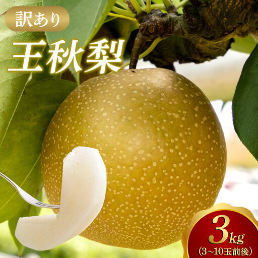 【2027年1月頃発送】【訳あり】王秋梨 3kg（３～10玉前後）