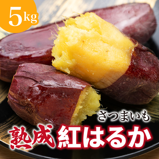 【先行予約】 にかほ市 象潟町 大須郷産「 さつまいも 2ヶ月 熟成 紅はるか 5kg 」【 産地直送 国産 芋 おいも 定番 焼き芋 イモ 野菜 長期熟成 秋田県 にかほ】