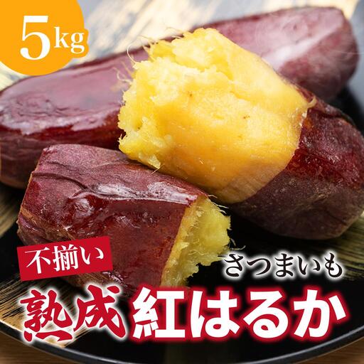 さつまいも 紅はるか 2ヶ月熟成 不揃い さつまいも【5kg】