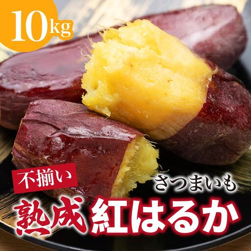さつまいも 紅はるか 2ヶ月熟成 不揃い さつまいも【10kg】