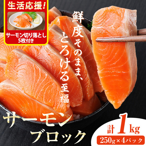 生活応援 サーモン切り落とし5枚付き!生食用 サーモン ブロック(計1kg・250g×4P) 小分け冷凍 魚 [AW-100][丸正水産]