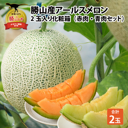 【先行予約】アールスメロン 青肉・赤肉 2玉 [A-060007]