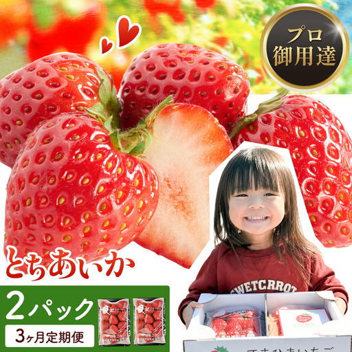 【3ヶ月定期便】いちご 栃木県芳賀町産 とちあいか 2パック 岩崎いちご園