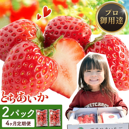 【4ヶ月定期便】いちご 栃木県芳賀町産 とちあいか 2パック 岩崎いちご園