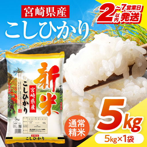 米 こしひかり 合計5kg 米[令和8年産 宮崎県産 5kg×1袋 2～7営業日以内に発送予定]