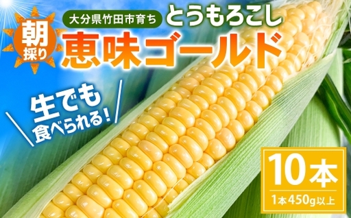 朝採りとうもろこし 恵味ゴールド 10本入り 【2026年7月上旬～8月上旬発送予定】