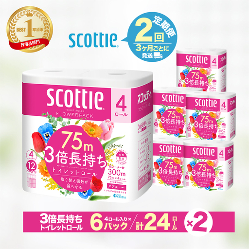 トイレットペーパー 【定期便 3ヶ月×2回】 ダブル スコッティ 草加市