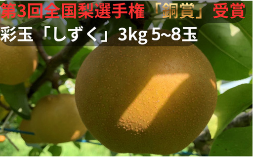 [R9先行予約]彩玉 3kg 5~8玉 「しずく」 梨 全国梨選手権 銅賞受賞 アルファイノベーション株式会社