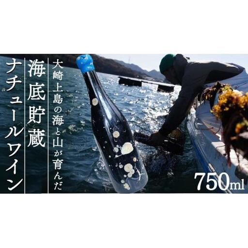 海底貯蔵 ワイン 「海底貯蔵 エヌ by Vignoble de NAKA rouge MBA」