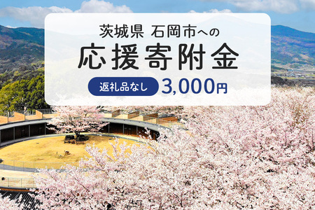 【応援寄附】茨城県石岡市　返礼品なしのご寄附　3.000円 茨城県 石岡市 G19-002