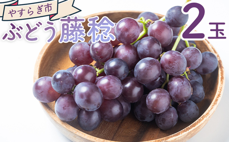 [ぶどう] 藤稔 2P ぶどう yr-0098