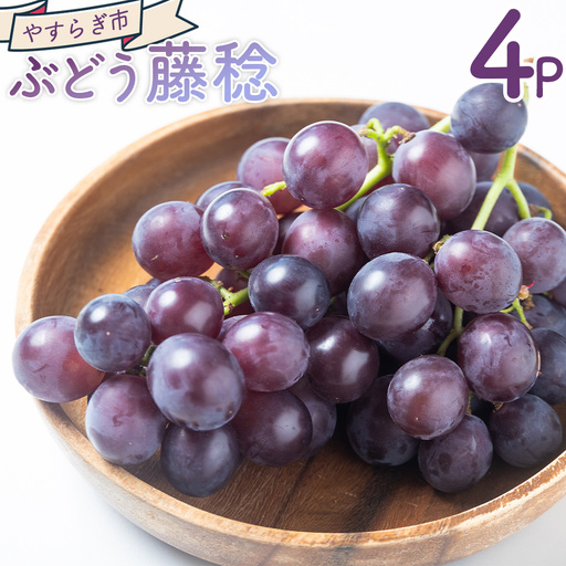 [2026年8月から発送予定]藤稔 ぶどう 2026年 4房 ぶどう yr-0099