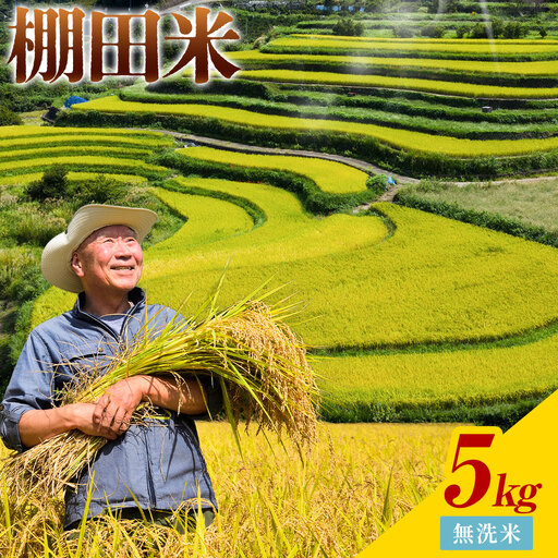 【先行予約】棚田米 無洗米 5kg 米